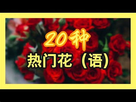 植物種類查詢|搜尋